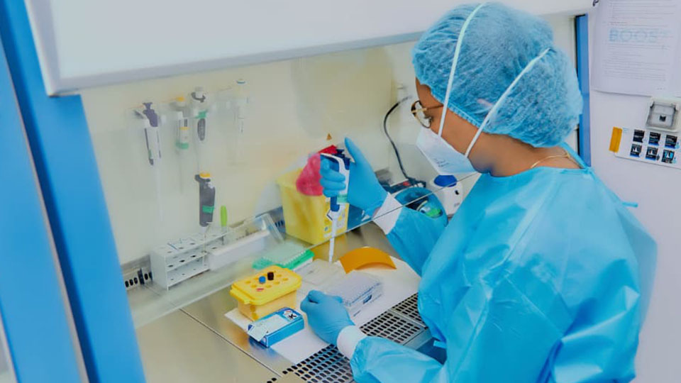In a laboratory, under a fume hood, a laboratory technician handles samples.